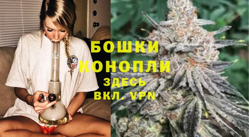 Бошки марихуана Ganja  даркнет сайт  Оленегорск 